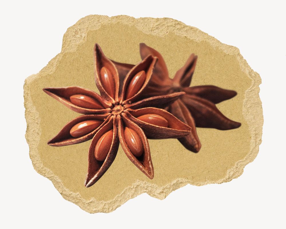Star anise, ripped paper collage element