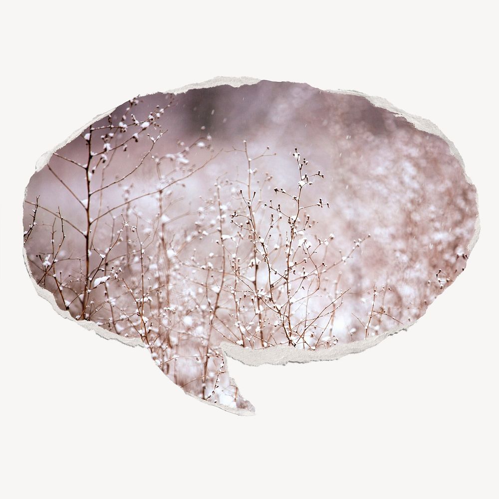 Winter flowers, ripped paper speech bubble, aesthetic image