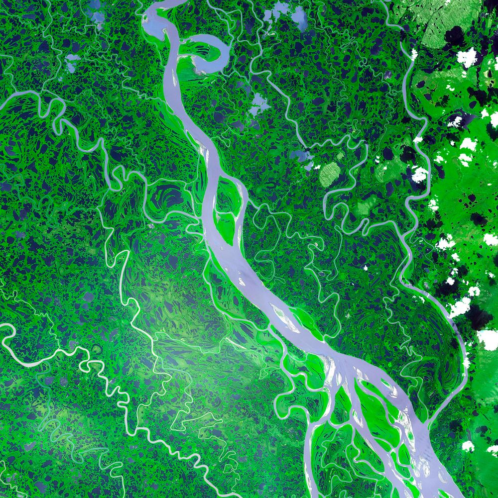 The Mackenzie River in the Northwest Territories, Canada. Original from NASA. Digitally enhanced by rawpixel.