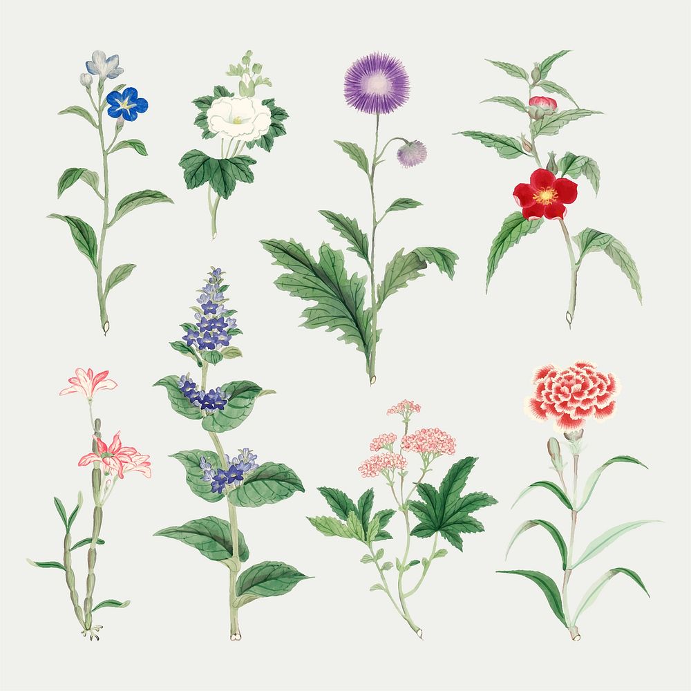 Classic floral design element vector set, vintage Japanese art remix from the David Murray collection
