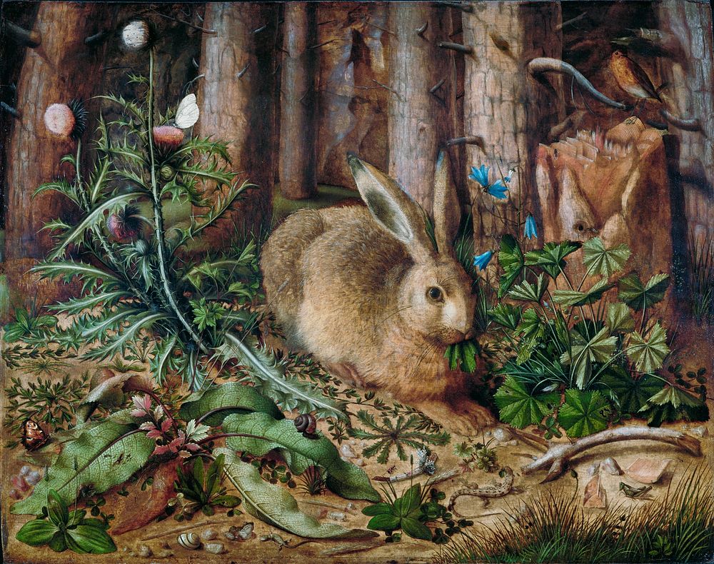 A Hare in the Forest (1585) painting in high resolution by Hans Hoffmann. Original from Getty Museum. Digitally enhanced by…