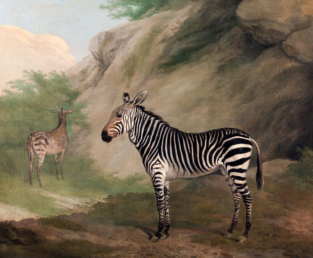 Zebra (1803) painting in high resolution by Jacques&ndash;Laurent Agasse. Original from The Yale University Art Gallery.…