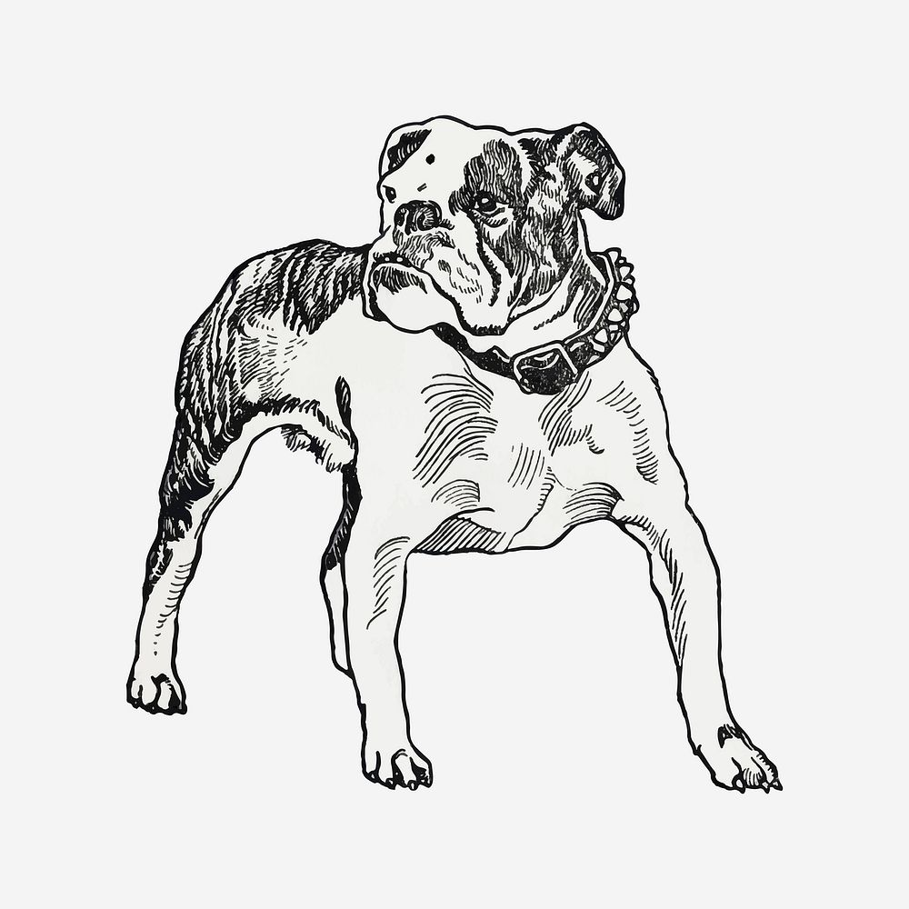 Vintage Bulldog illustration vector, remixed from artworks by Moriz Jung