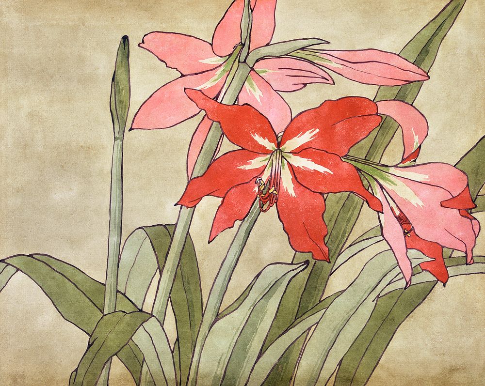 Amaryllis (1915) by Hannah Borger Overbeck. Original from The Los Angeles County Museum of Art. Digitally enhanced by…