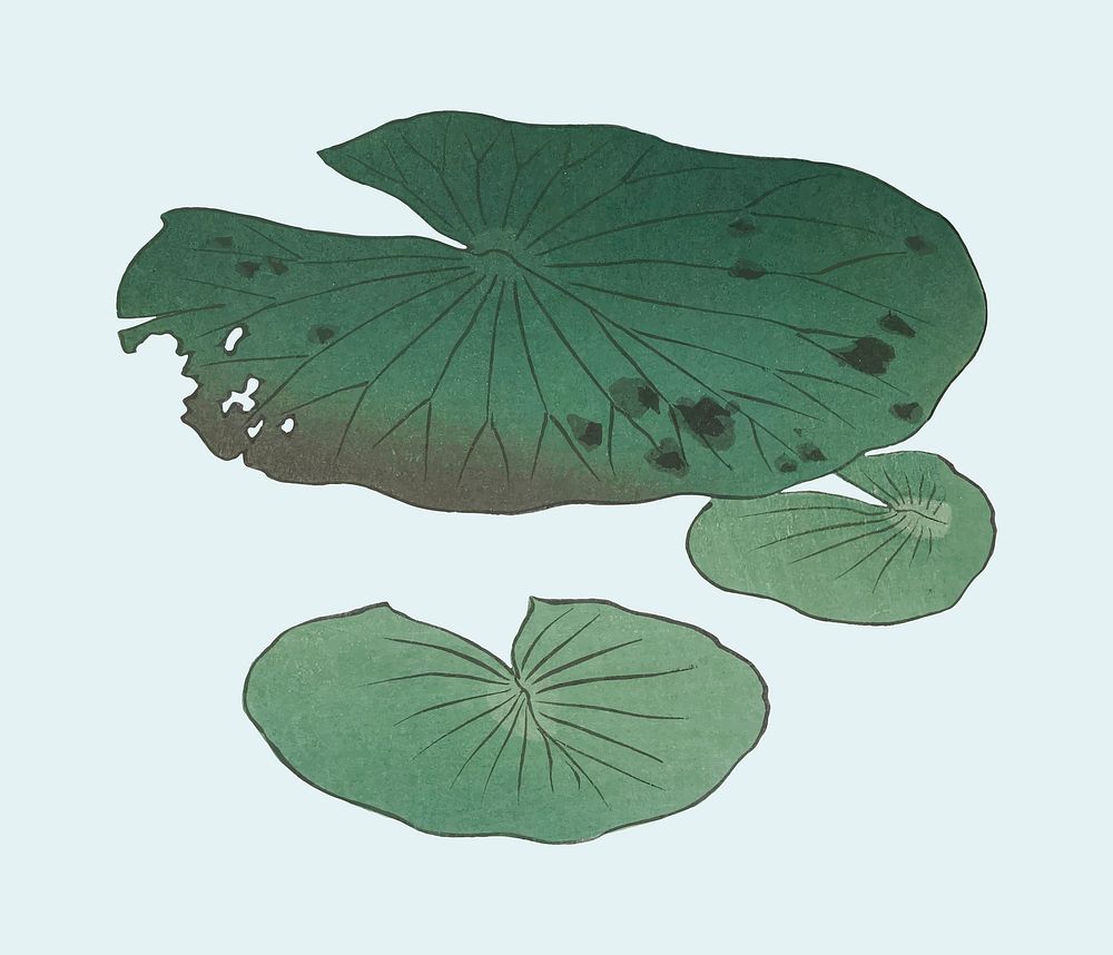 Green leaf element, vintage botanical illustration vector, remix from the artwork of Ohara Koson