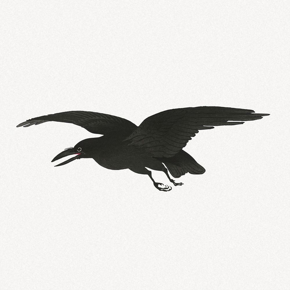 Crow collage element, black bird vintage illustration psd