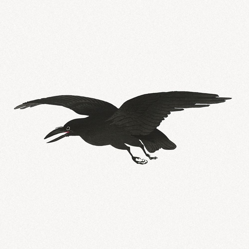 Crow, Ohara Koson's vintage illustration