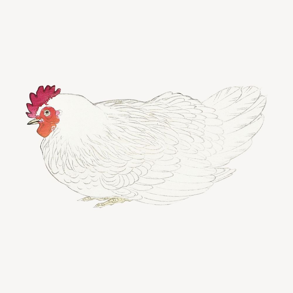 Chicken collage element, farm animal vintage illustration psd