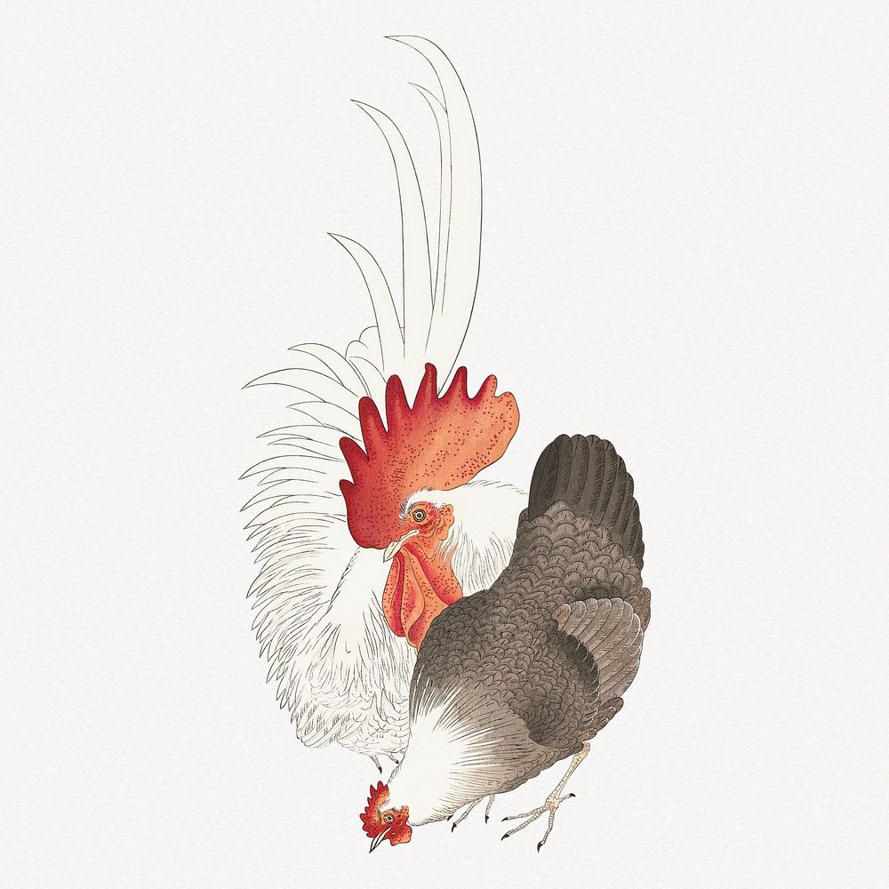 Ohara Koson's chicken collage element, vintage illustration psd