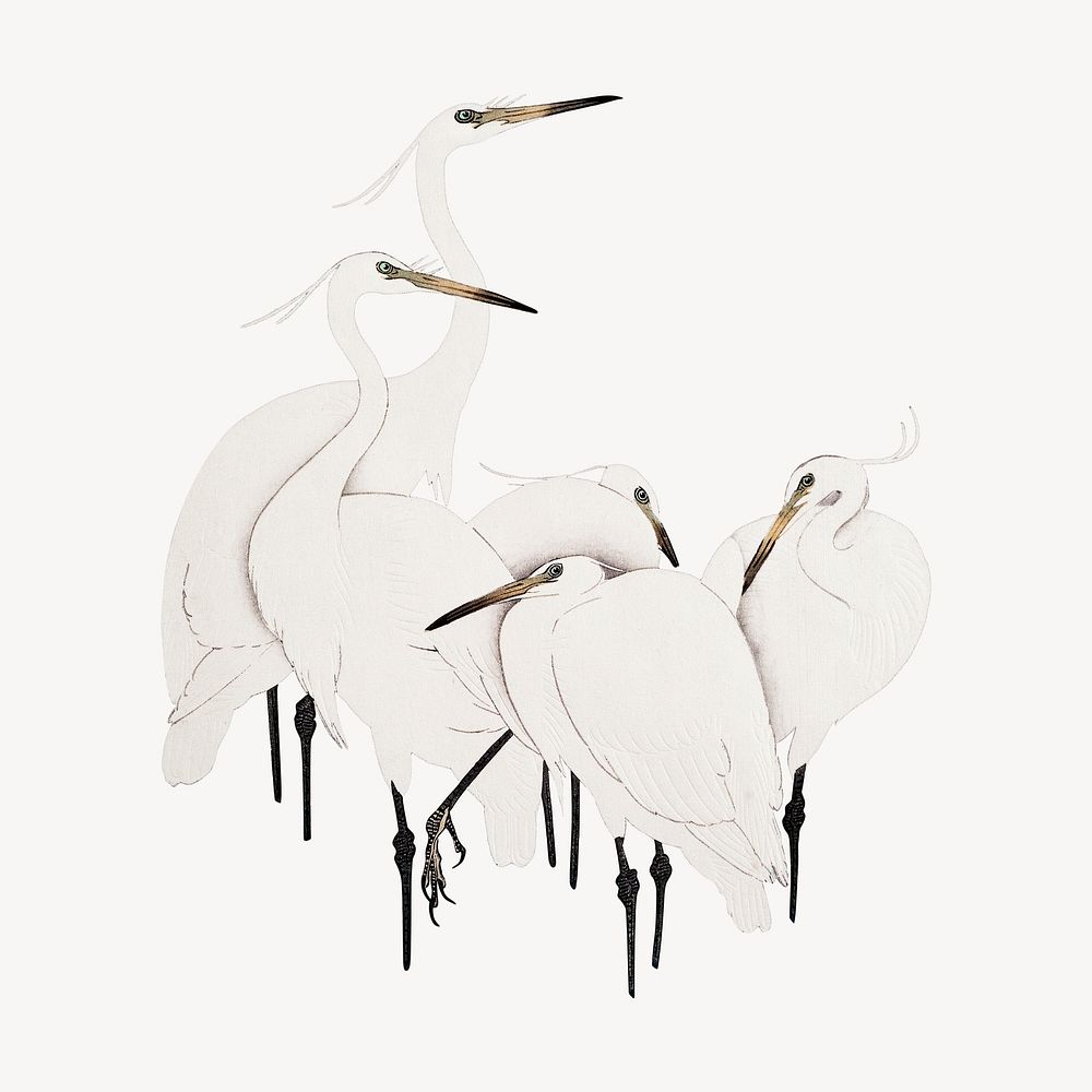 Ohara Koson's egret collage element, bird vintage illustration psd