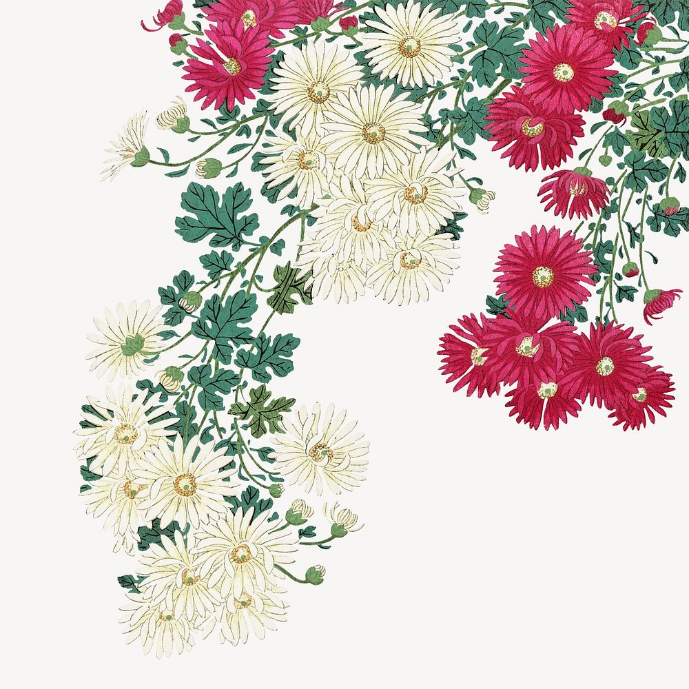 Chrysanthemums collage element, Ohara Koson's vintage illustration psd