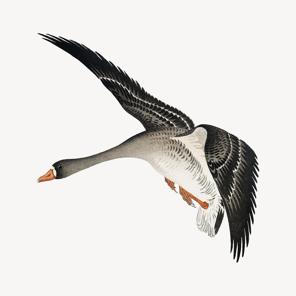 Flying geese, Ohara Koson's vintage illustration