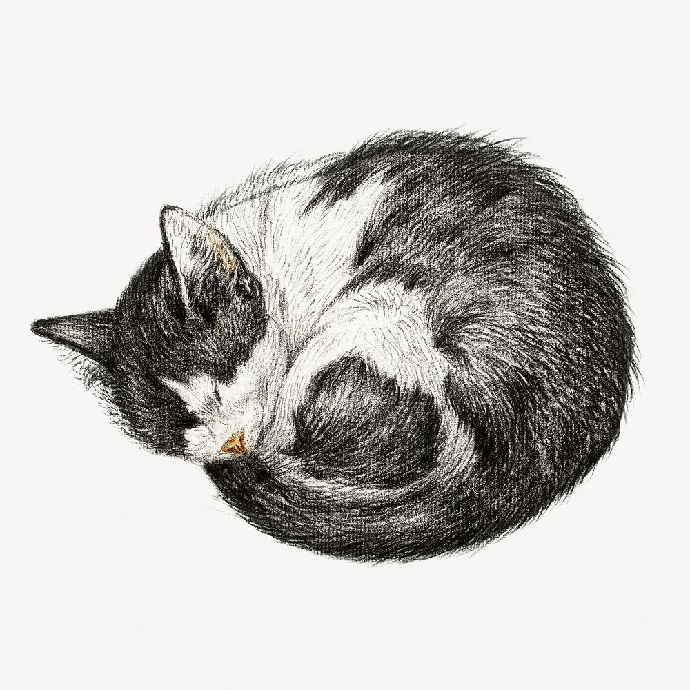 Sleeping cat's collage element, Jean Bernard's vintage illustration psd