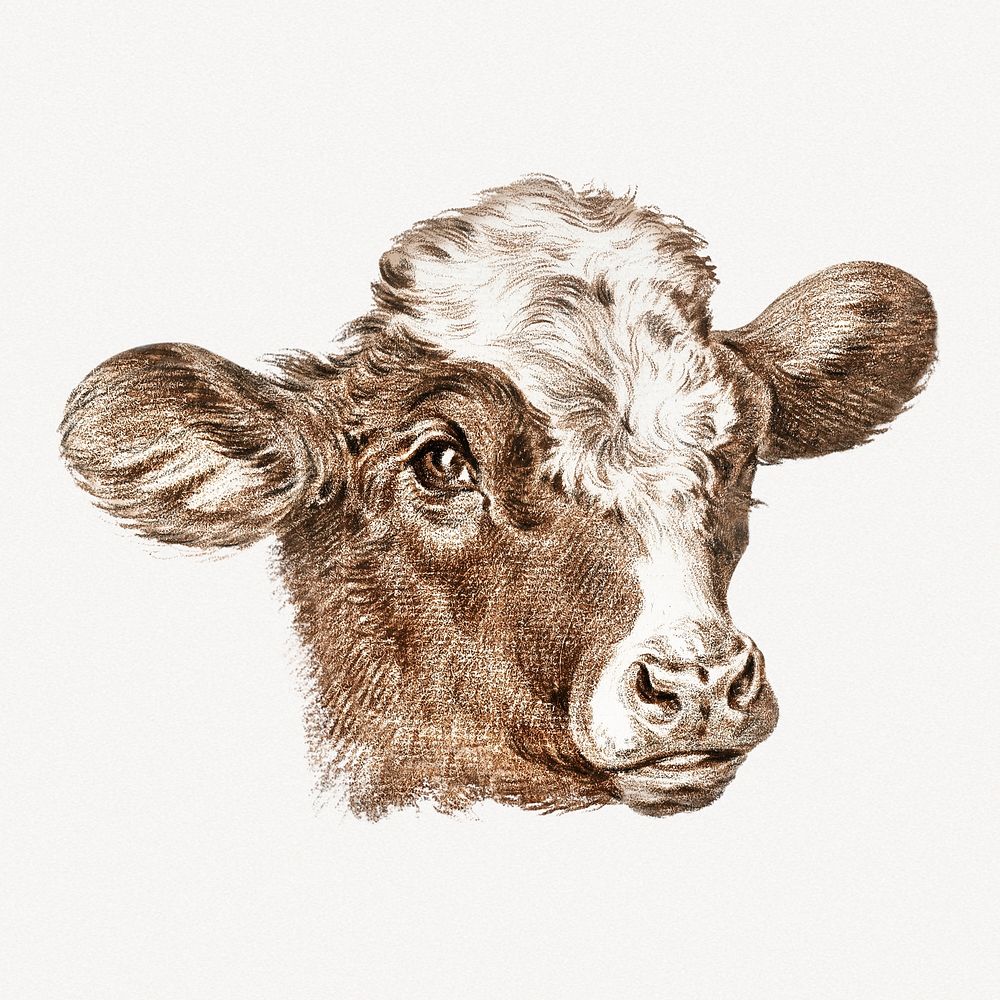 Cow head collage element, farm animal vintage illustration psd