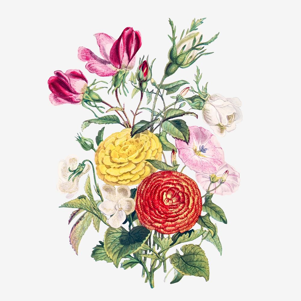 Vintage summer flowers bouquet vector | Premium Vector Illustration ...