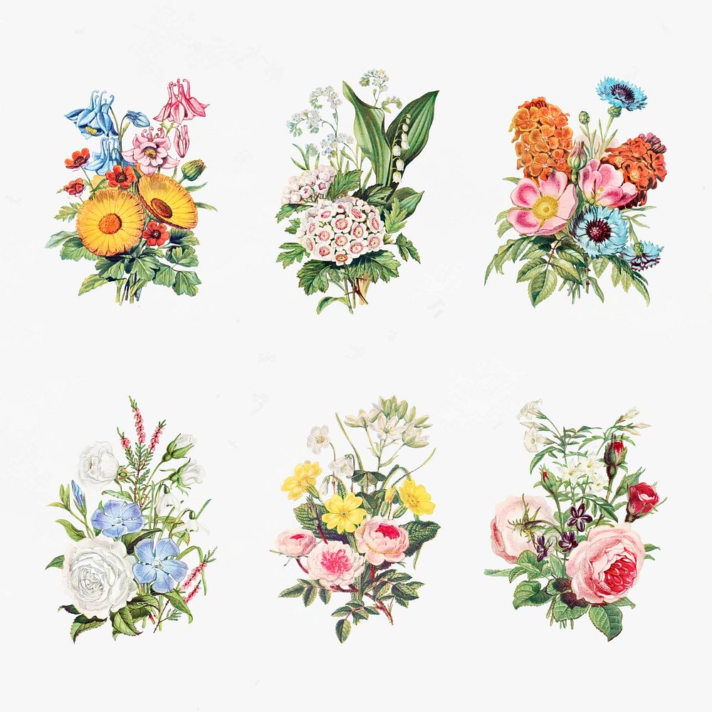 Vintage flowers bouquet collection vector