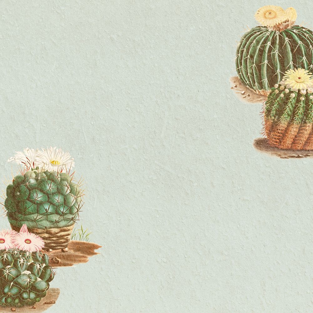 Vintage green cactus with flower on paper texture background design element