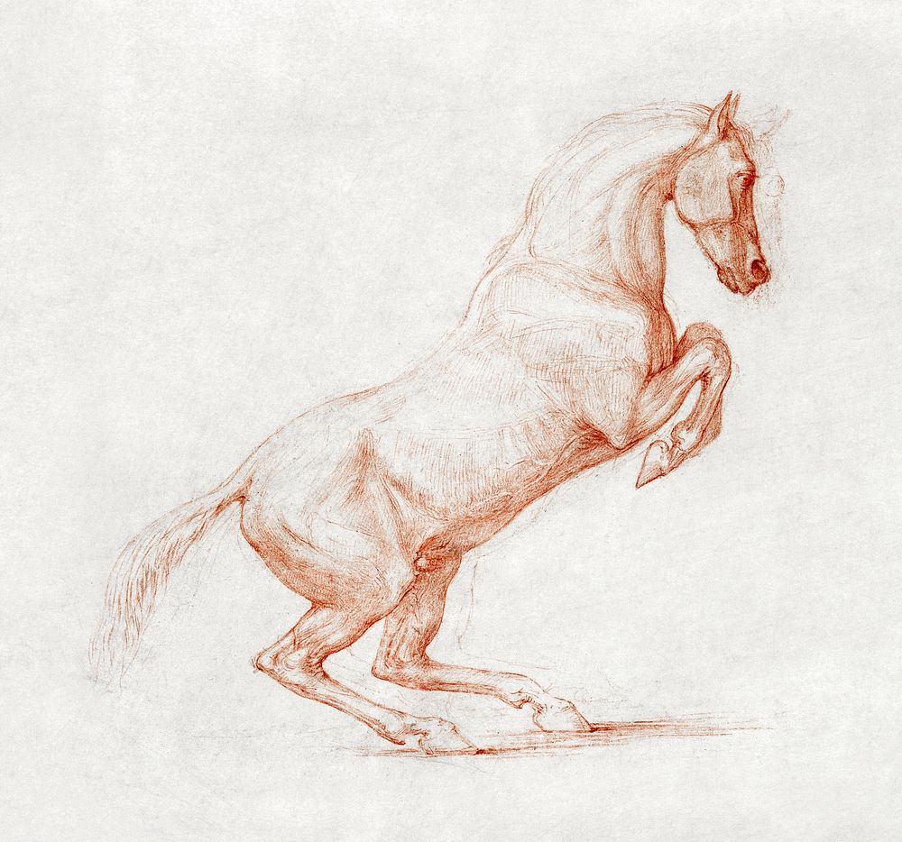 A Prancing Horse, Facing Right (ca. 1790) drawing in high resolution by George Stubbs. Original from The Yale University Art…