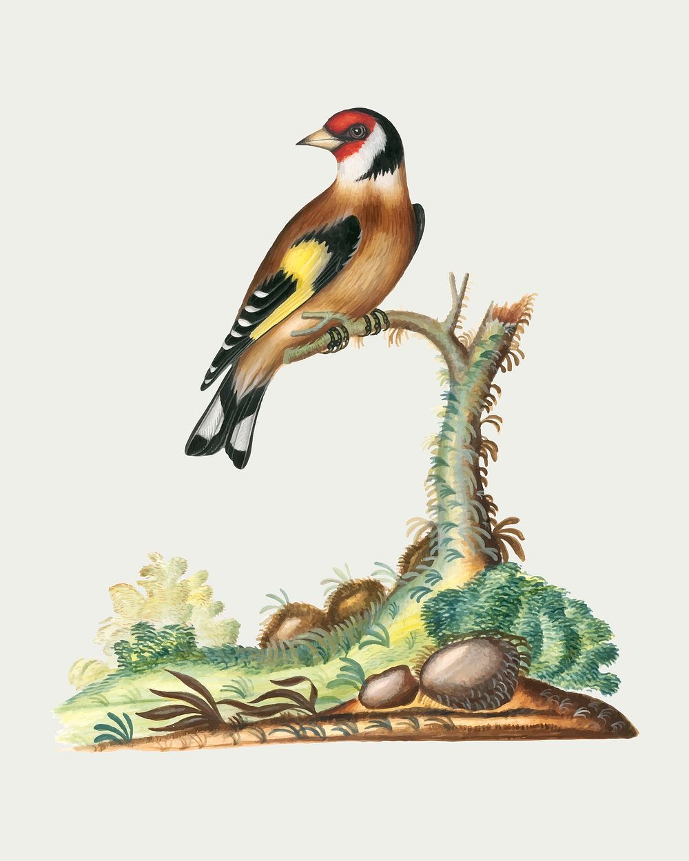 Vintage goldfinch sticker, bird watercolor painting vector, remixed from artworks by James Bolton