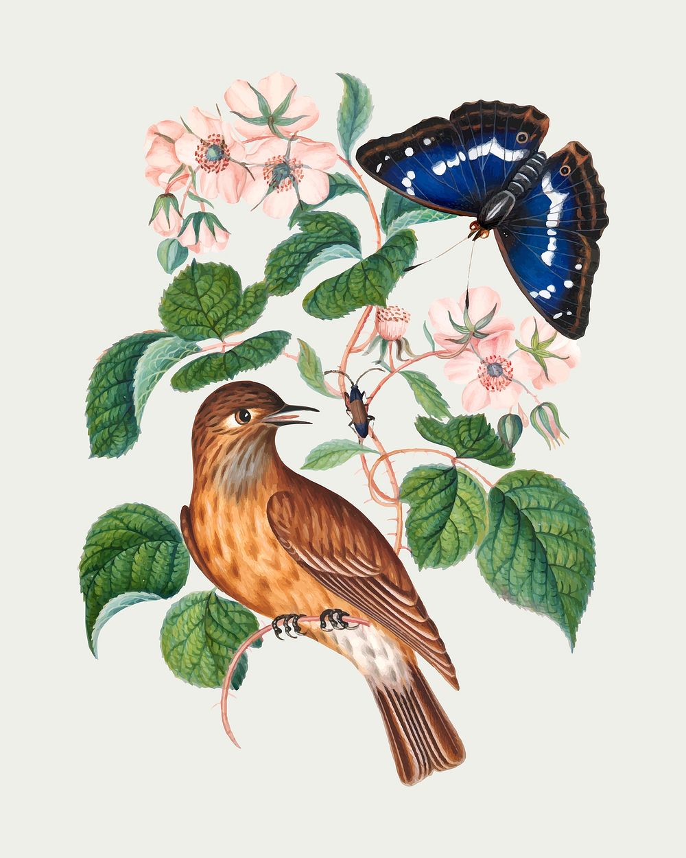 Bird, butterfly, botanical flower sticker vector, remixed from artworks by James Bolton