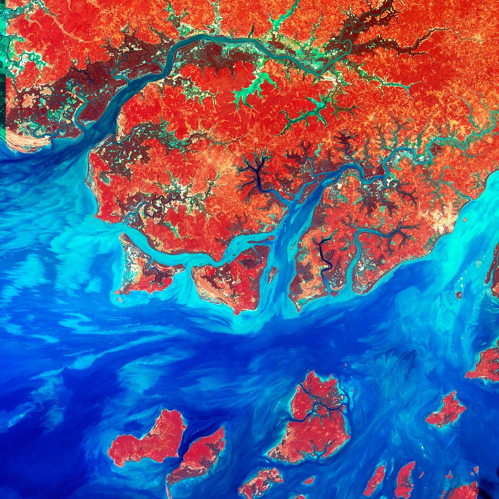 Guinea-Bissau, a small country in West Africa. Original from NASA. Digitally enhanced by rawpixel.
