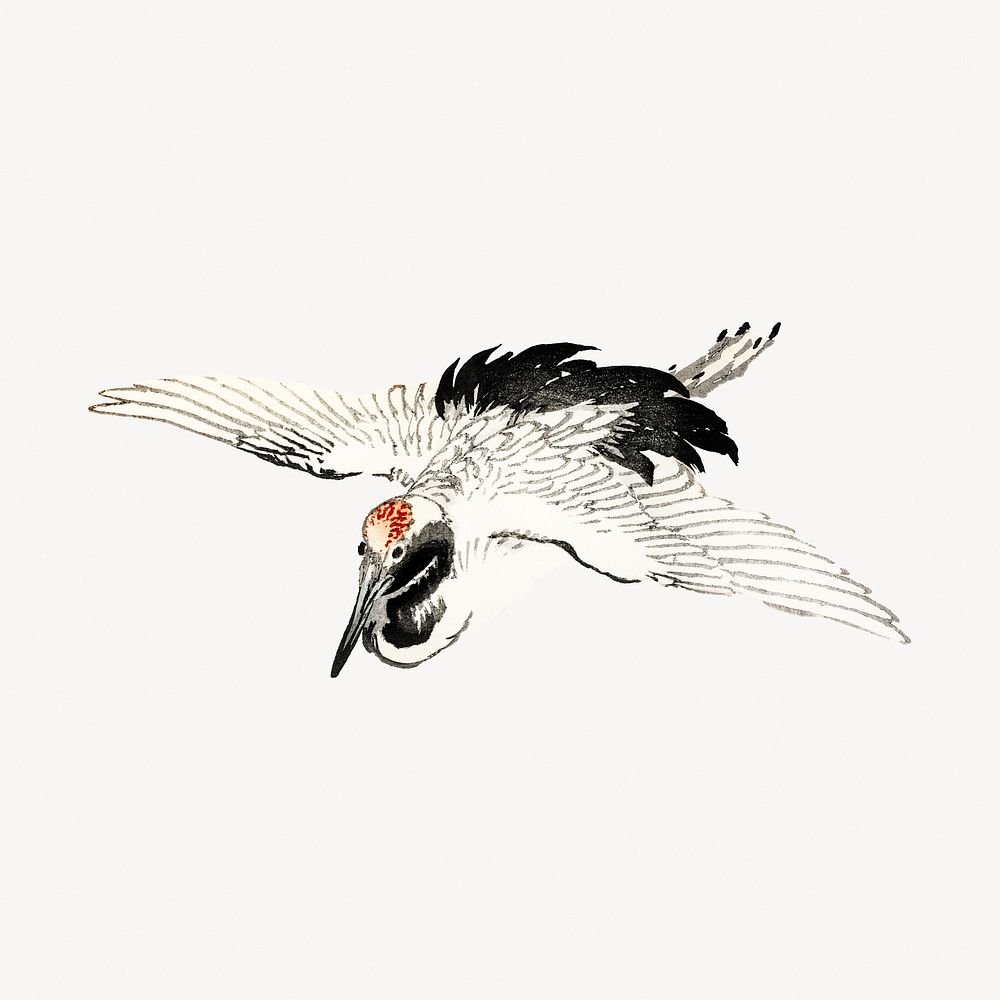 Flying crane, Kōno Bairei's bird vintage illustration