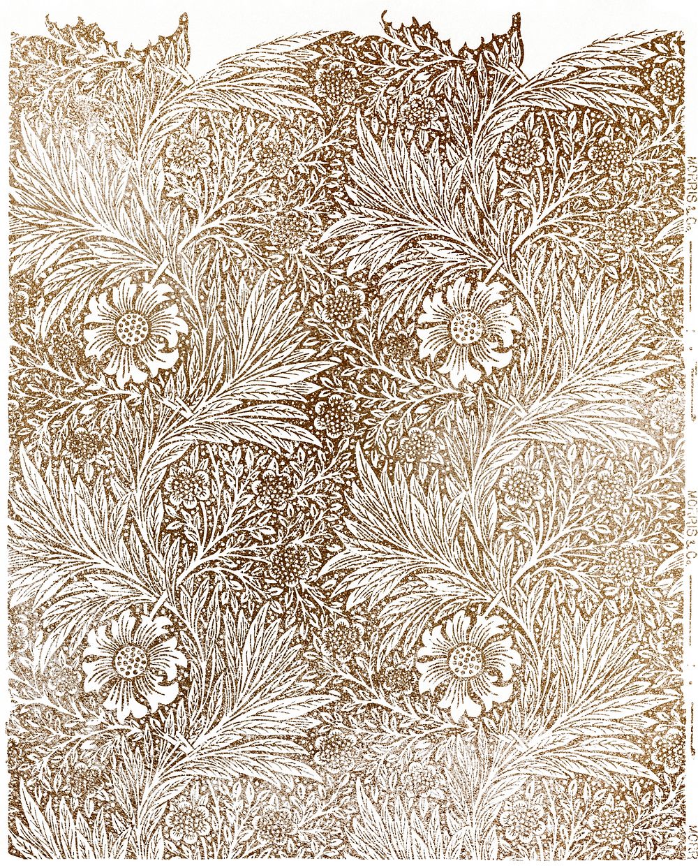 Marigold wallpaper pattern, remix of original illustration by William Morris
