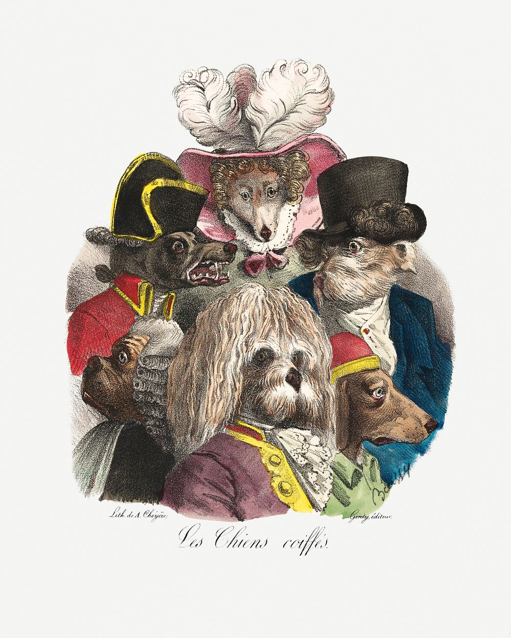 Dogs in victorian costumes illustration