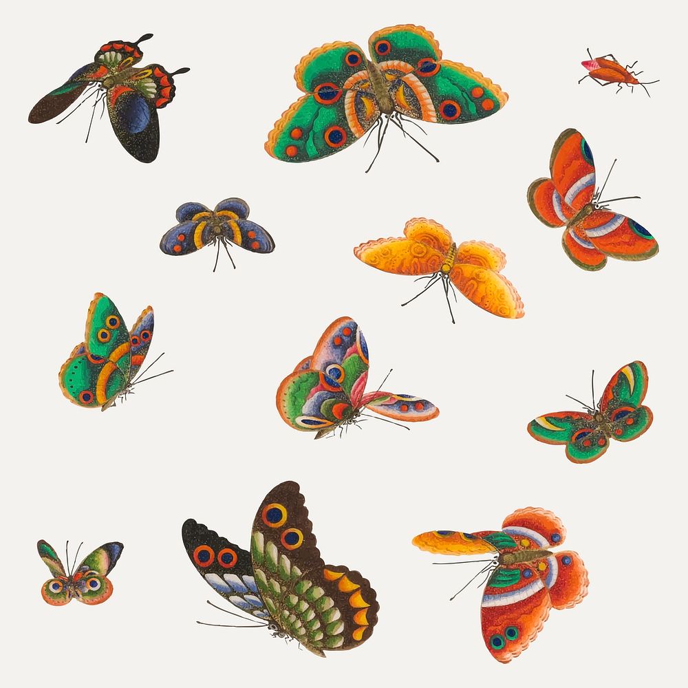 Vintage butterfly and insect illustrations set vector