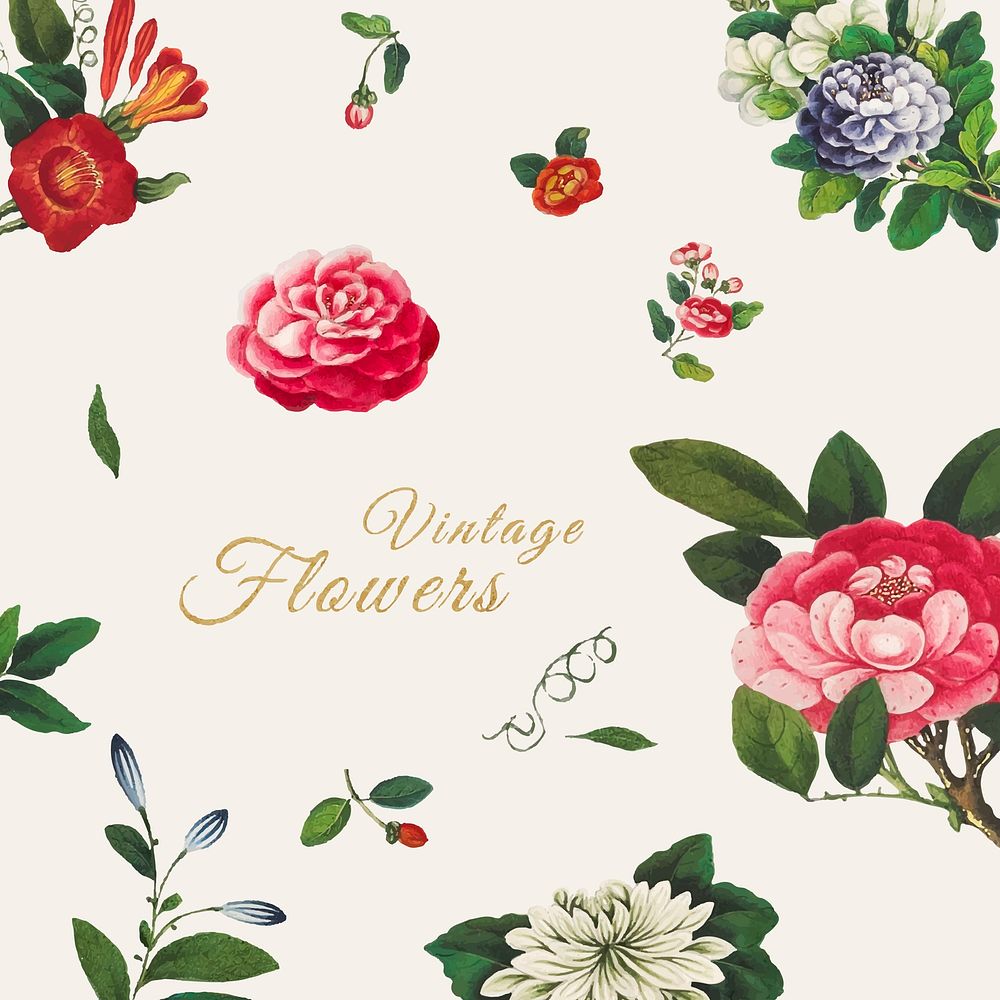 Vintage Chinese flowers set vector