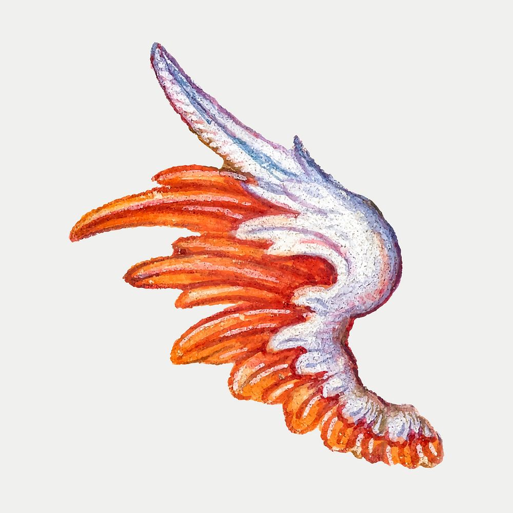 Mythical wing painting ornament vector