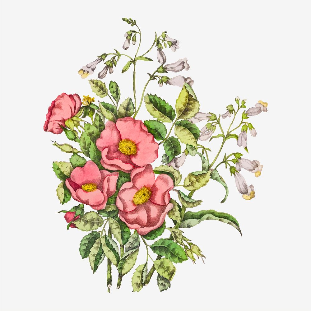 Early Wild Rose and Penstemon Beard Tongue flower bouquet vector