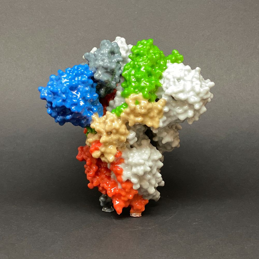 3D print of a spike protein on the surface of SARS-CoV-2&mdash;also known as 2019-nCoV, the virus that causes COVID-19.…