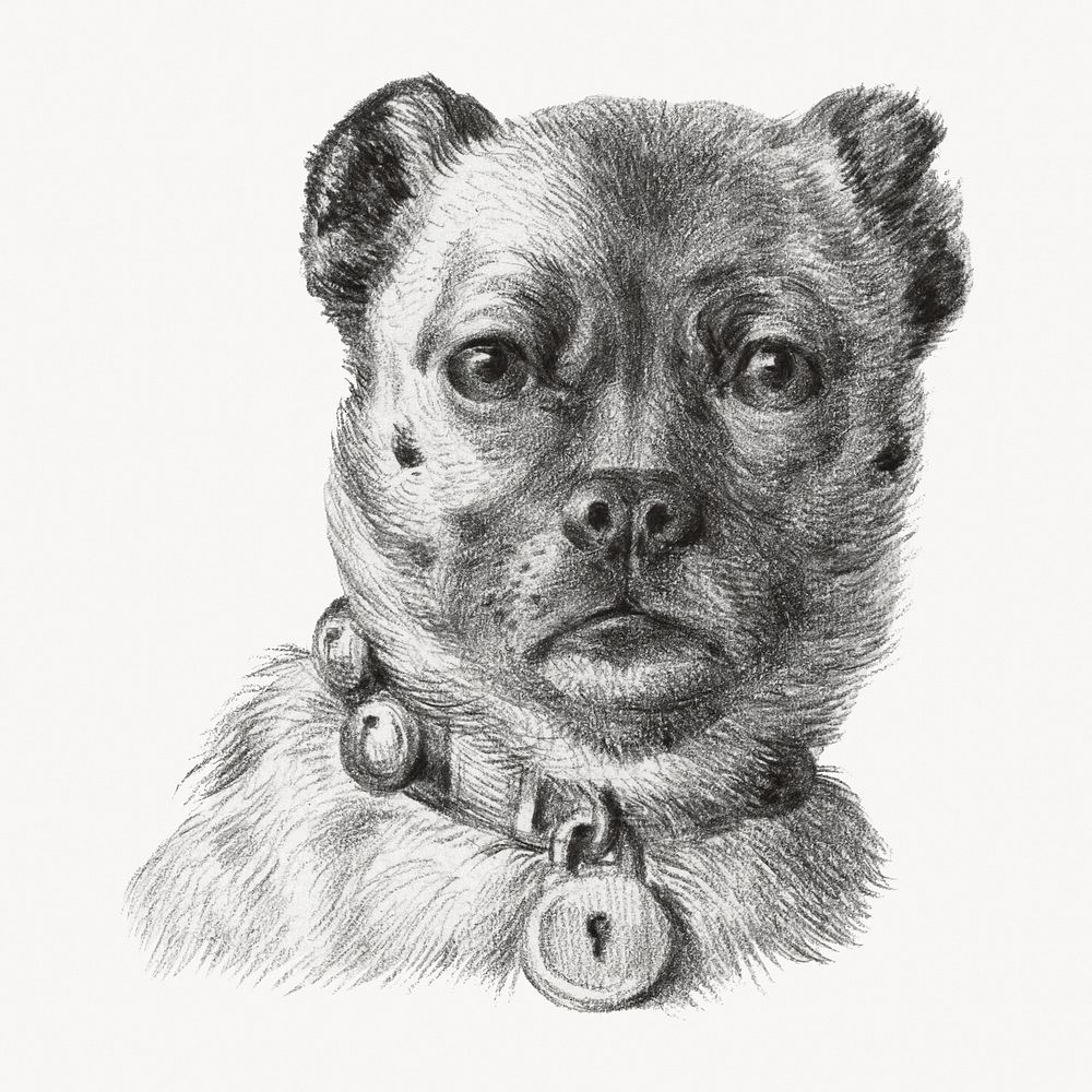Dog illustration, drawing artwork