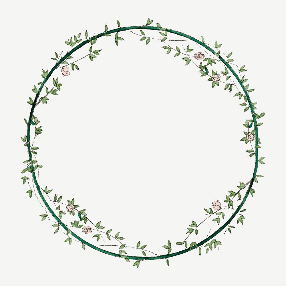 Botanical frame vector, remixed from the artworks by Bernard Boutet de Monvel