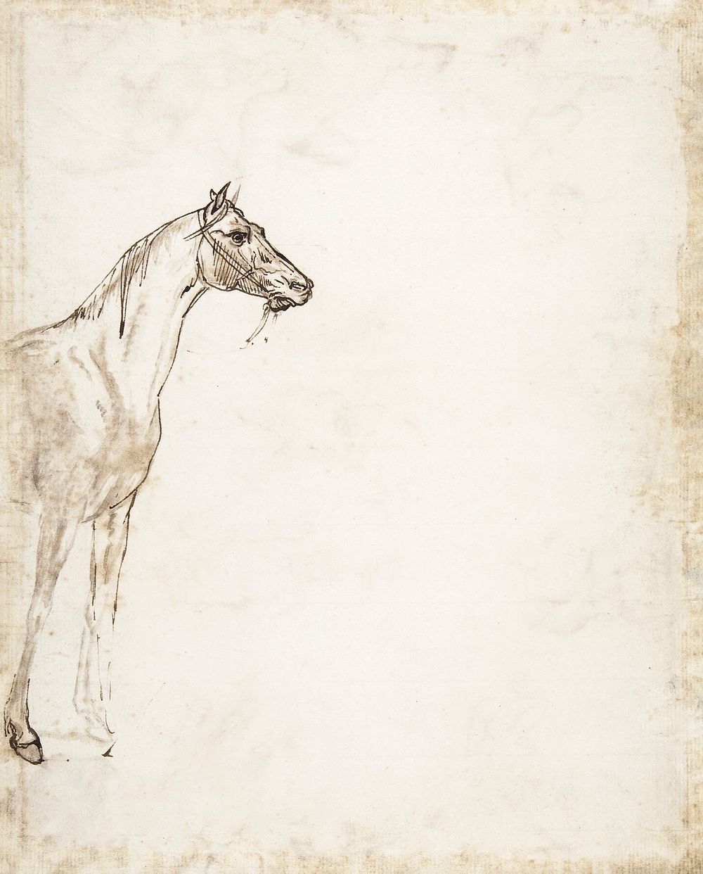 Study of a Horse (ca. 1817&ndash;1818) drawing in high resolution by Th&eacute;odore Gericault. Original from The MET…