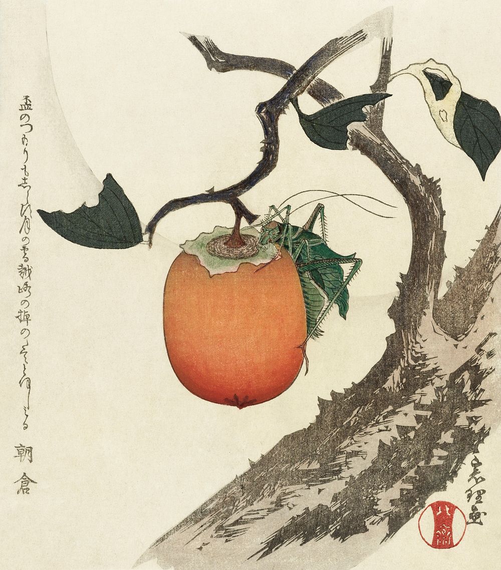 Kakivrucht met sprinkhaan (ca. 1890&ndash;1900) in high resolution by Katsushika Hokusai. Original from The Rijksmuseum.…