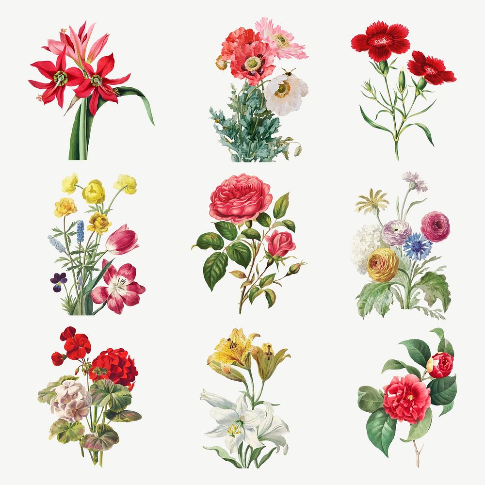 Vintage blooming flowers vector illustration set