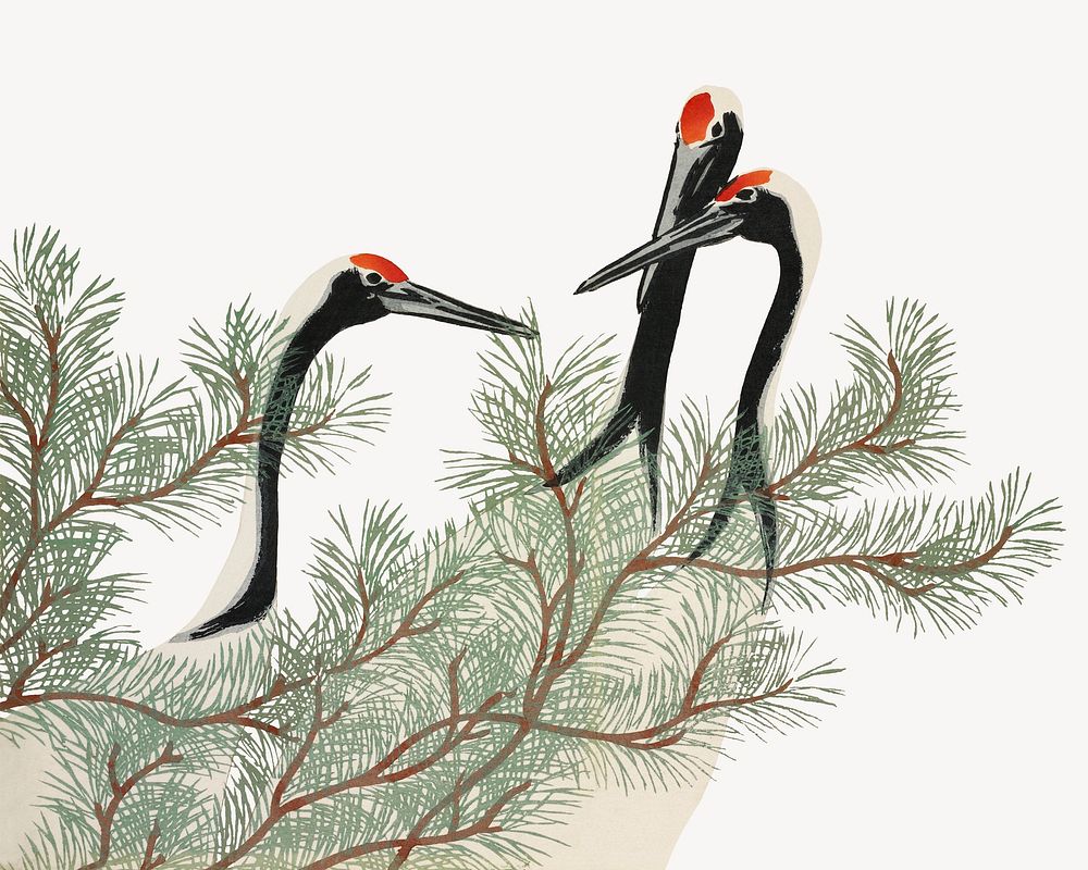 Kamisaka Sekka's cranes collage element, bird vintage illustration psd
