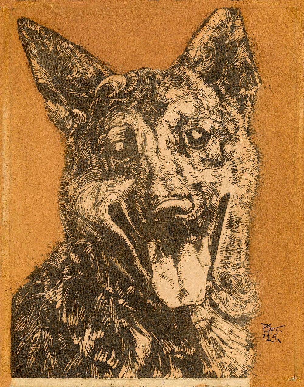 Cees, portret van een hond (1912&ndash;1940) drawing in high resolution by Dick Ket. Original from The Rijksmuseum.…