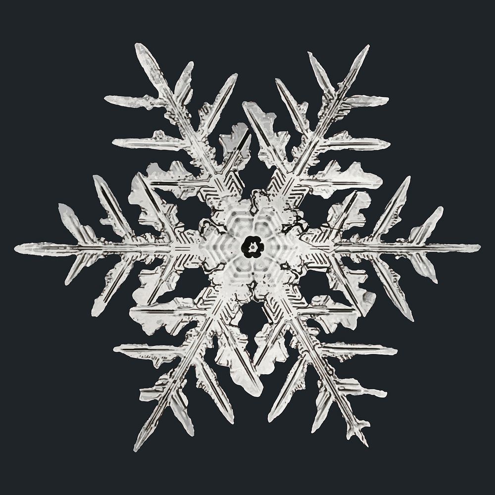 Icy snowflake vector macro photography, remix of art by Wilson Bentley