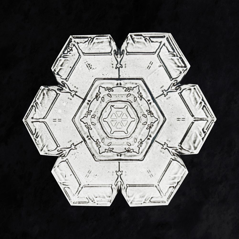 Wilson Bentley's Snowflake 562 (ca. 1890) detailed photograph of snowflakes in high resolution by Wilson Alwyn Bentley.…