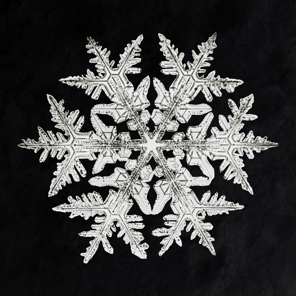 Wilson Bentley's Snowflake 920 (ca. 1890) detailed photograph of snowflakes in high resolution by Wilson Alwyn Bentley.…