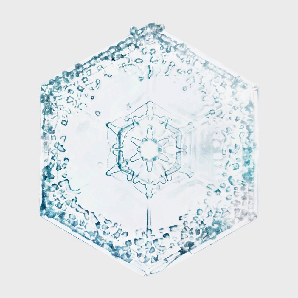 Christmas snowflake vector macro photography, remix of art by Wilson Bentley