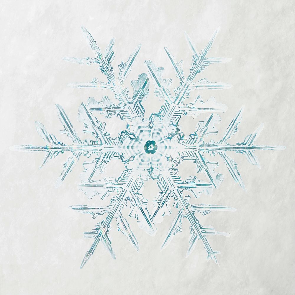 Winter snowflake Christmas ornament macro photography, remix of photography by Wilson Bentley