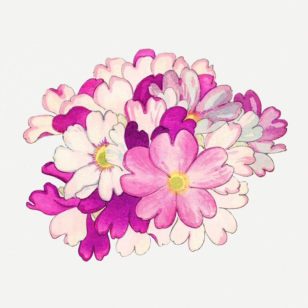 Pink primrose flower collage element, vintage Japanese art psd