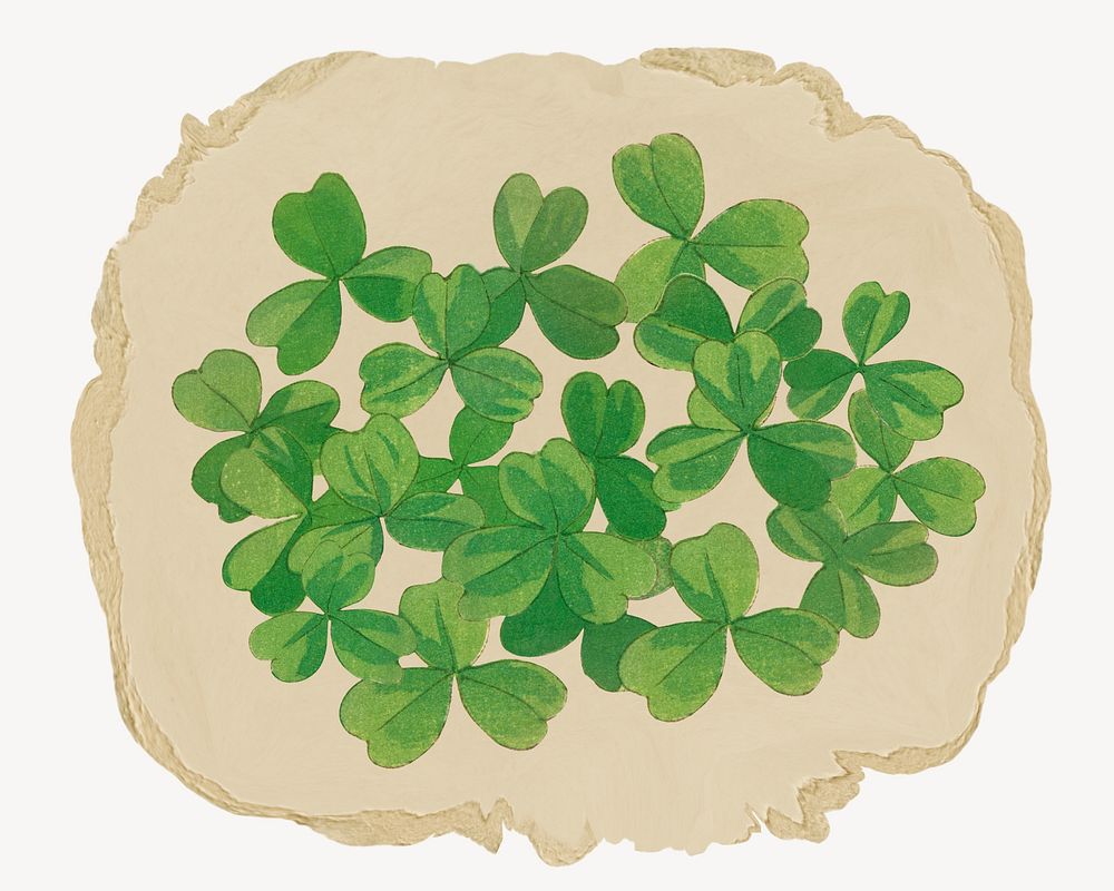 Shamrock leaves, ripped paper collage element