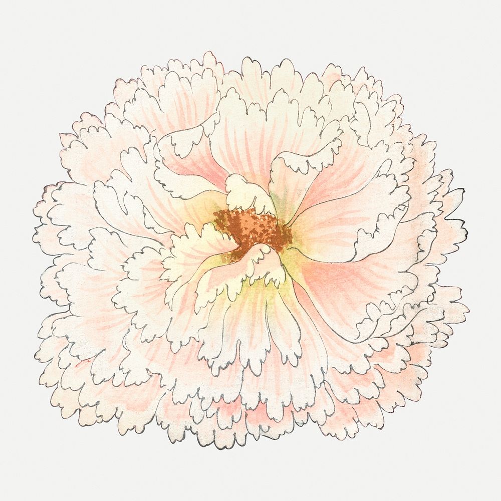Hollyhock flower illustration, vintage Japanese art psd