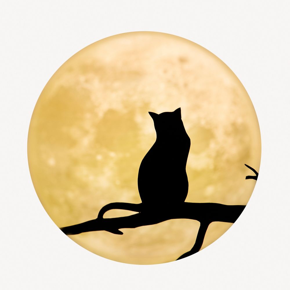 Cat silhouette sticker, full moon isolated image psd