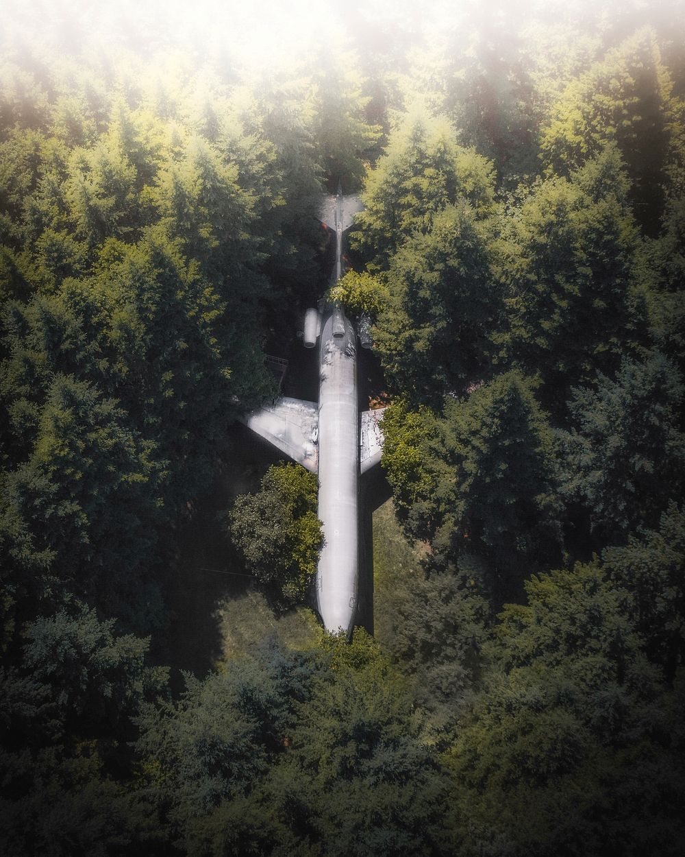 A plane in the woods in Hillsboro, Oregon, USA